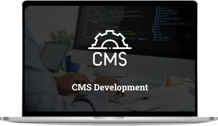 CMS Development Services